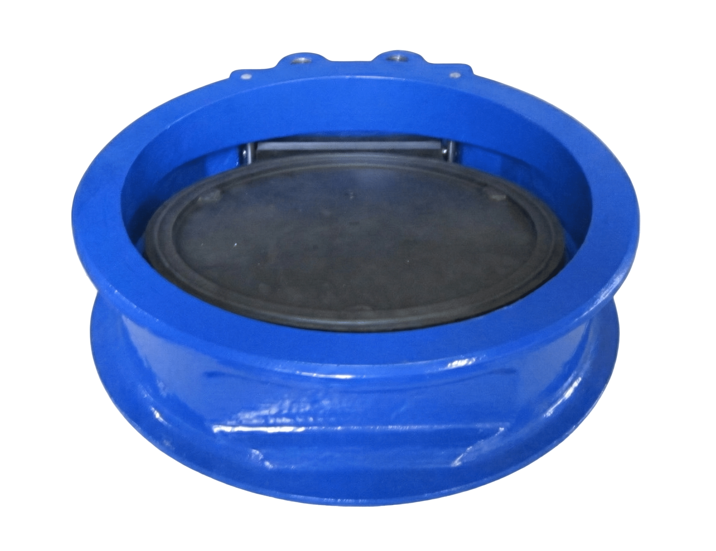 PSA ELA Typ-K in DN300